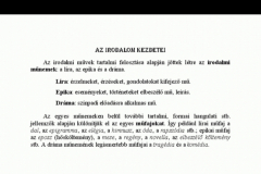 A Drive-on megnyitott képnél már meg lehet nézni a megjegyzéseket. Ehhez nyomj a fenti "Megjegyzés" ikonra!