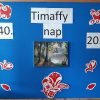 Timaffy nap – Ünnepi gálaműsor